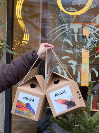 Kasdienybės Bakehouse Panettone