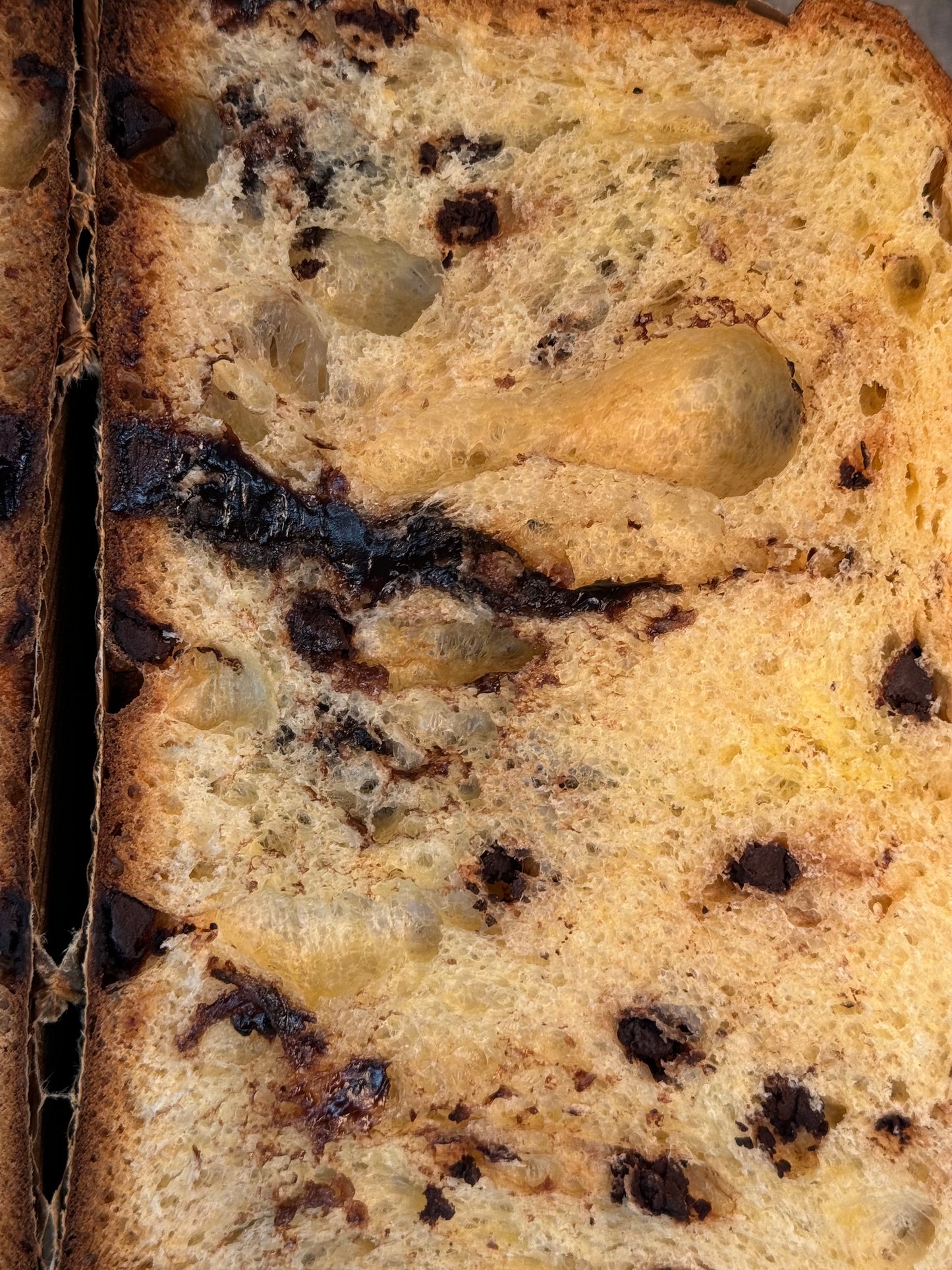 Kasdienybės Bakehouse Panettone